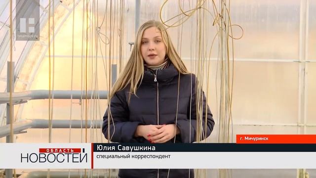 Фермер из Мичуринска выращивает рекордные урожаи редиса, огурцов и томатов смотреть онлайн