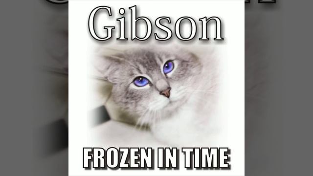 Steve Cash - Frozen In Time (Gibson's Memorial) - JayTheBillZ Mix смотреть онлайн