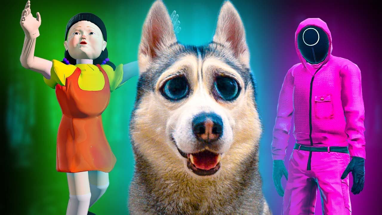 ИГРА В КАЛЬМАРА против ХАСКИ! Все серии подряд! (Хаски Бандит) Говорящая собака смотреть онлайн