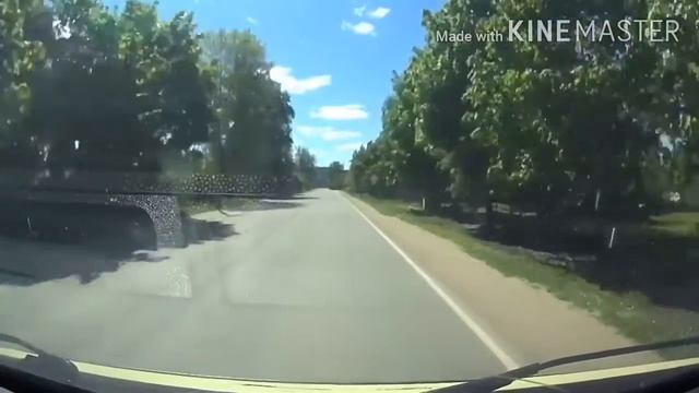 ЛЮТКА - ОРЕДЕЖ - ЛУГА (авто) Ленинградская область /Рассказ/ смотреть онлайн
