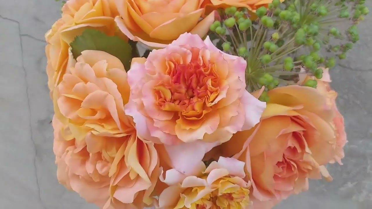 Букет. ШАРЫ и РОЗЫ. СОЧЕТАНИЯ РОЗ. В описании размеры кустов смотреть онлайн