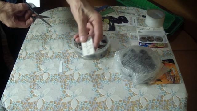 Посев перцев. Всходы на 8 день. смотреть онлайн