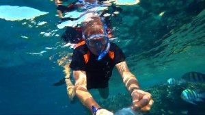 Египет.Шарм эль шейх.Риф отеля Шарм Плаза