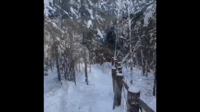 Ленские столбы 22.02.19. смотреть онлайн
