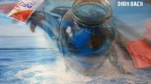 Разведение Данио для начинающих аквариумистов в 3 -х литровой банке! Аквариумная рыбка Данио!