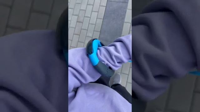 Рулетка Divo для собак. Обзор покупки для шпица Тоби❤️ смотреть онлайн