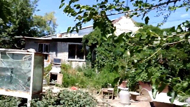 Голуби за две минуты ушли в точку. смотреть онлайн