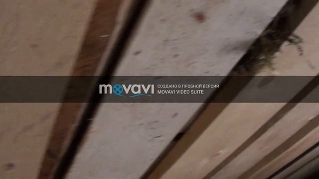 Постройка избы(зимовья) в лесу. #2 смотреть онлайн