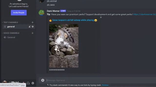 How To Setup & Use Dank Memer Bot on Discord - (Bot Commands) смотреть онлайн