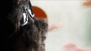 От улыбки хмурый день светлей (Metal cover)