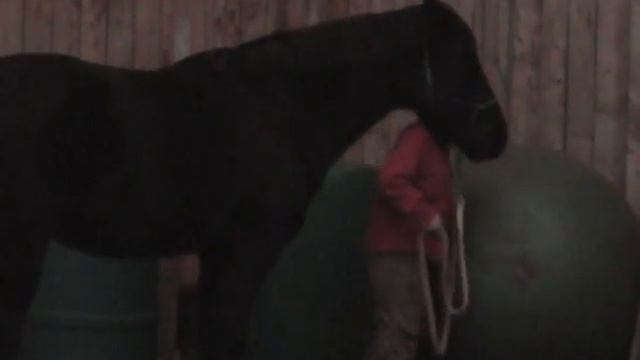 OLHA Nov. 2011, Starter Level Pony, Logan Cameron # 705 & Joey # 694 смотреть онлайн