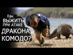 КАК ВЫЖИТЬ При Нападении КОМОДСКОГО ВАРАНА | RISEME