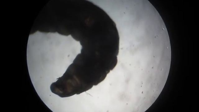 Строительные Шедевры