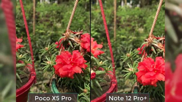 Poco X5 Pro Vs Redmi Note 12 Pro Plus Camera Test смотреть онлайн