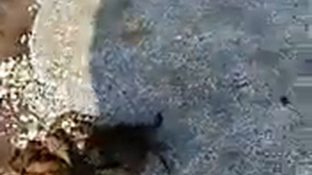 рыбак 2! смотреть онлайн