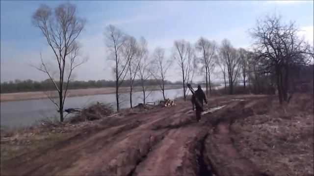 прогулка по даче//бобер или выдра?;D смотреть онлайн