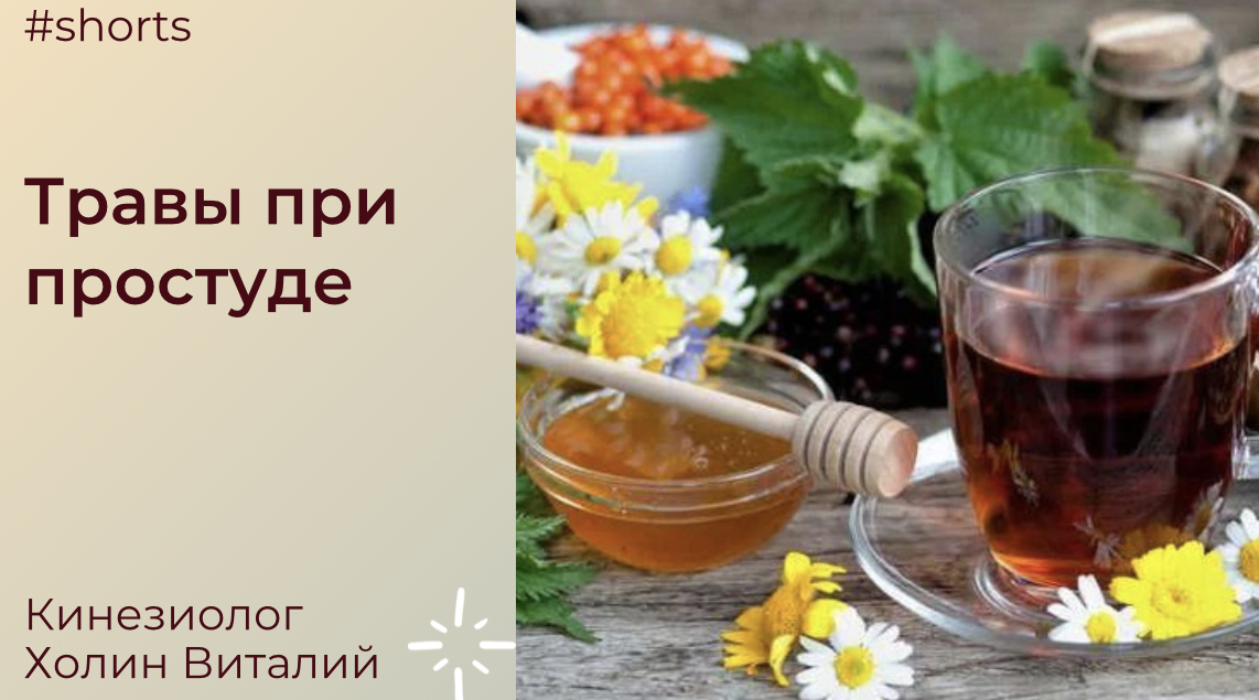 Травы при простуде смотреть онлайн