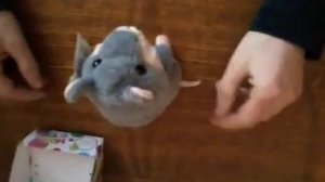 Полный обзор игрушки хомяк-повторюшка