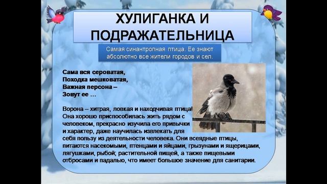 Зимующие птицы нашего края смотреть онлайн