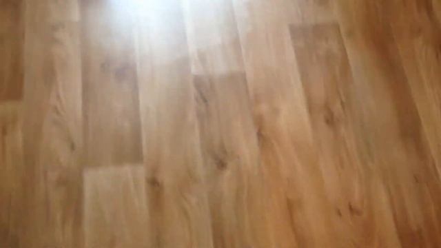 Тренировка кота (Кит) смотреть онлайн
