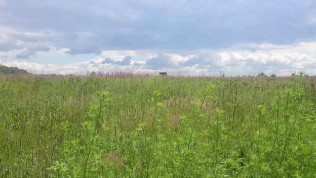 Дачка Шатово смотреть онлайн