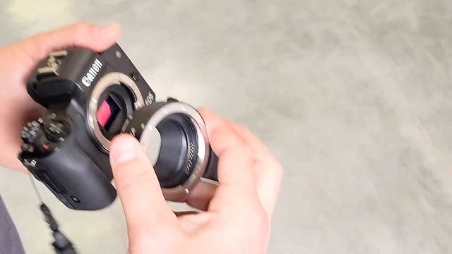 Cheap Camera | Can The Canon EOS M50 Be Used For Professional Photography And Videography?