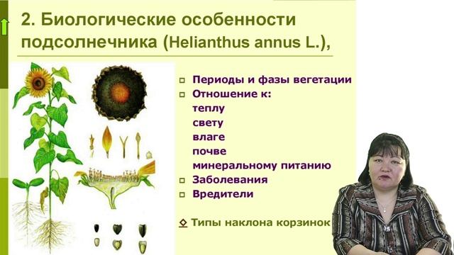 Канзываа С.О. Подсолнечник