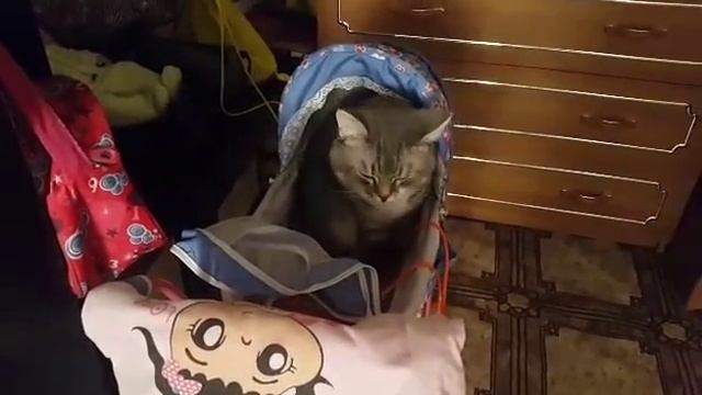 Масик в коляске смотреть онлайн