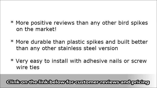 BEST Bird Spikes ever! | My Review on the Best Bird Deterrent Spikes | Bird Control смотреть онлайн