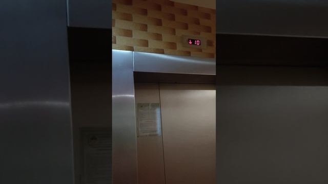 Вечноживой грузовой: Химки, Калинина 7, 1 подъезд. 22.03.2023, 05:50 ам смотреть онлайн