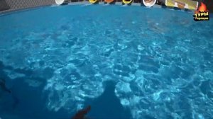 Victory Be Mine 5* | Турция | отзывы туристов