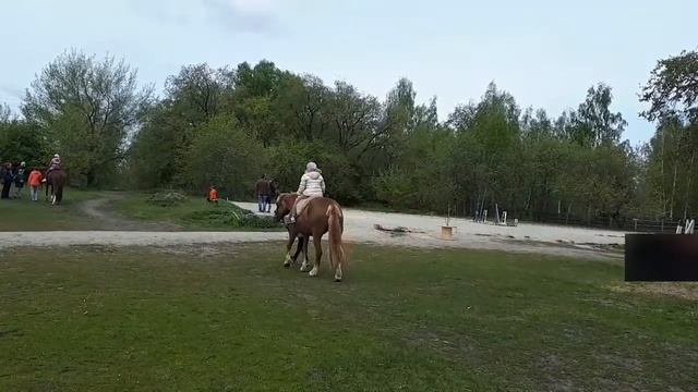 Вольный ветер... конный клуб смотреть онлайн