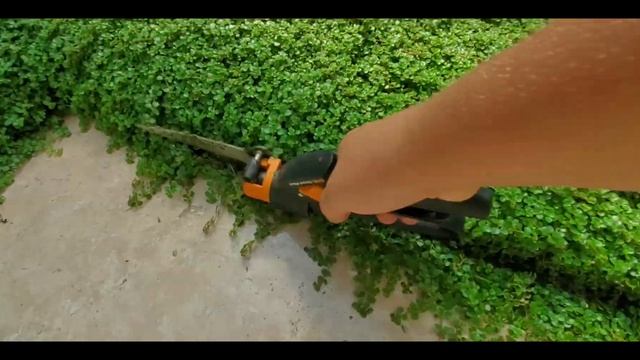 Фито-дизайнерский центр