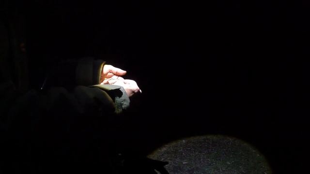РЫБАЛКА с НОЧЕВКОЙ. ТЕПЛЫЙ КАНАЛ НчГРЭС. смотреть онлайн
