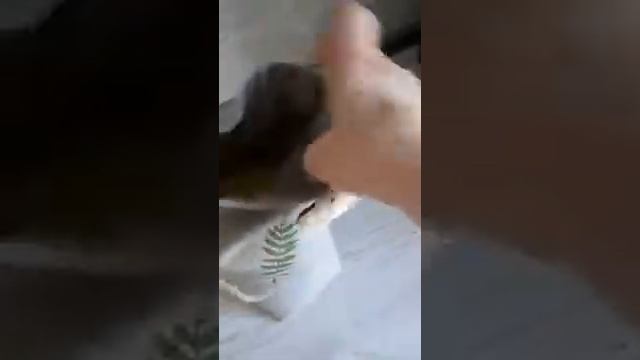 Льняные мешочки для хранения круп с ручной набойкой. Zero waste food storage. смотреть онлайн