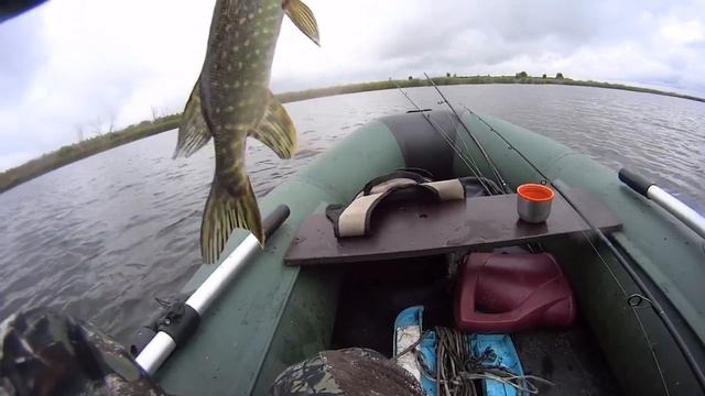 Рыбалка на спиннинг!!! за щукой в октябре 2022 г. Лучшее время для ловли хищника!!! смотреть онлайн