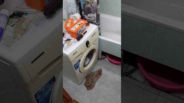 как часто стирать нужно вещи студенткам смотреть онлайн