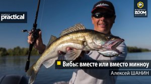 Вибы: вместе или вместо минноу. Алексей Шанин