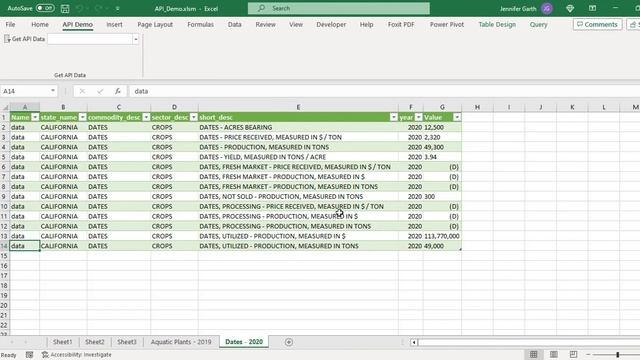 Importing Data into Excel via API Calls - Demo смотреть онлайн