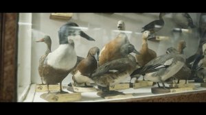 История города Бишкек. Сезон №2. Часть четвертая. Проект Бишкек 140