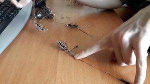 ?  УБИЙЦА КАРАСЯ 2.0 - модернизированная. Монтаж снасти/оснастки для рыбалки своими руками. Кормушк