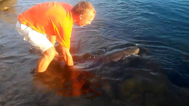 Таймень в Иркутске смотреть онлайн