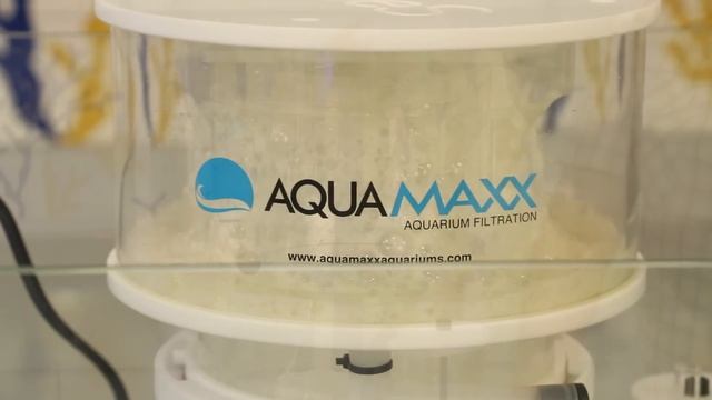 AquaMaxx ConeS Q-Series Protein Skimmers: Sleek, Compact and Powerful смотреть онлайн