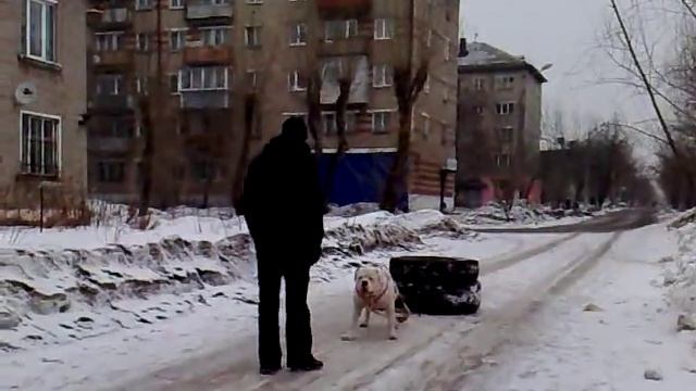 Вейтпуллинг тренировка смотреть онлайн