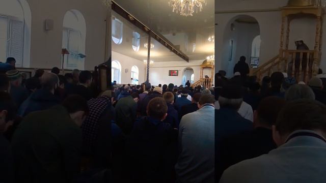 13 ноября 2020 г. смотреть онлайн