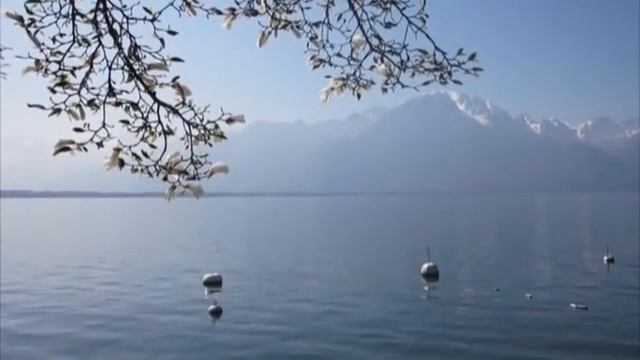 "The Harmony Of The World". YAMAHA PSR E433 смотреть онлайн