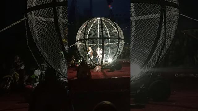 Цирк Максимус в Коломне смотреть онлайн