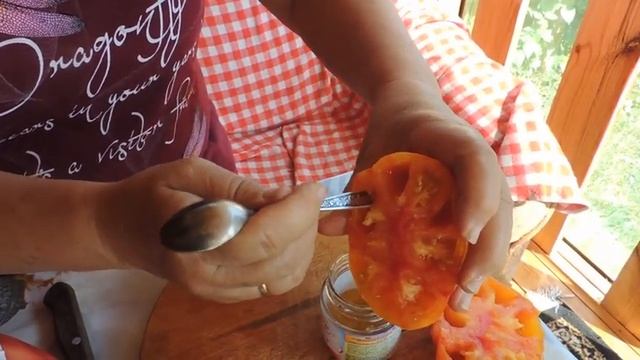ЗАГОТОВКА СЕМЯН ТОМАТОВ В ДОМАШНИХ УСЛОВИЯХ