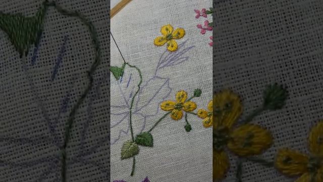 чистотел, часть 5, крупные листья смотреть онлайн