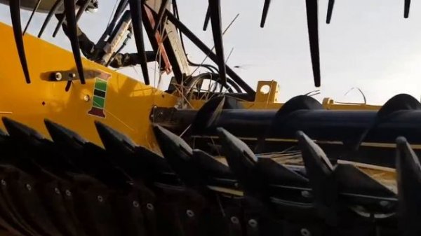 No-till 15.06.2019. Короткий обзор жатки Superflex